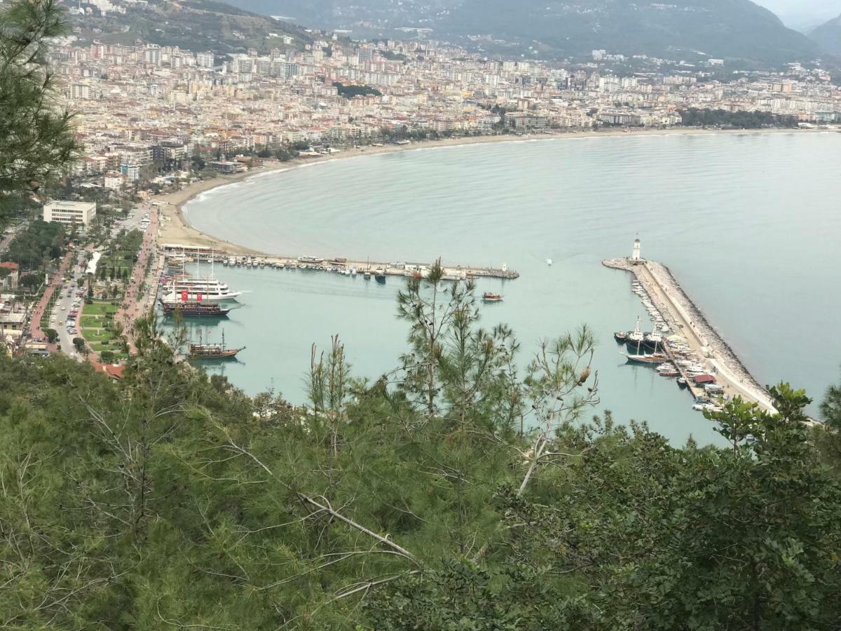 Besthome 21 Alanya